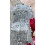 Pakistani Walima Dresses